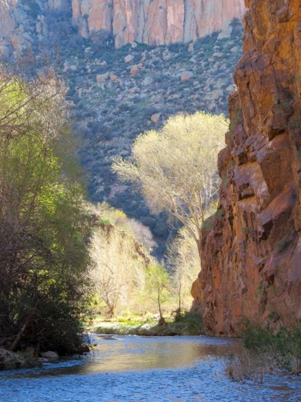 Arizona State Representatives >> Public Lands May Be America’s Best Climate Defense | Climate Central Arizona State Representatives >> Public Lands May Be America’s Best Climate Defense | Climate Central