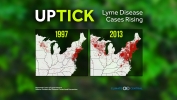 Ticks Take Off