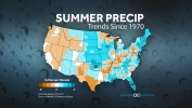 Summer Precipitation Trends