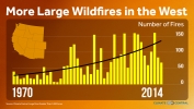 Western Wildfire Trends