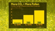 Climate Change Increases Grass Pollen Production