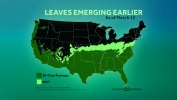 Leaves Emerging Earlier as Planet Warms