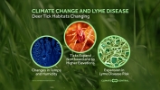 Climate Change’s Role in Tick Migration