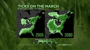 Projections in Deer Tick Habitat
