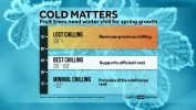 Fruit Trees Need Winter Chill for Spring Growth
