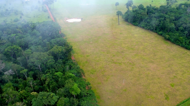 Farming Now Worse For Climate Than Deforestation | Climate ...