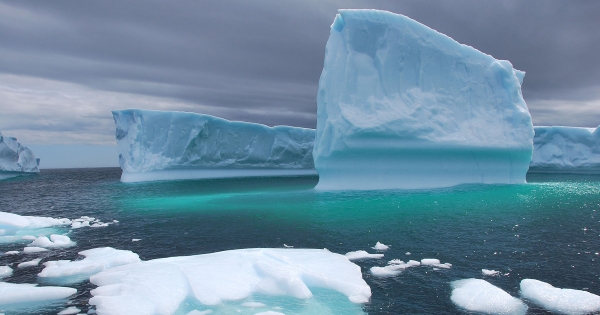 Resultado de imagem para icebergs