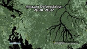 Amazon Deforestation