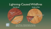 Lightning-Caused Wildfires