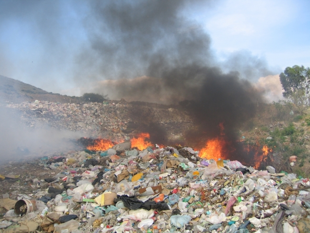Environmental problems and solutions essay