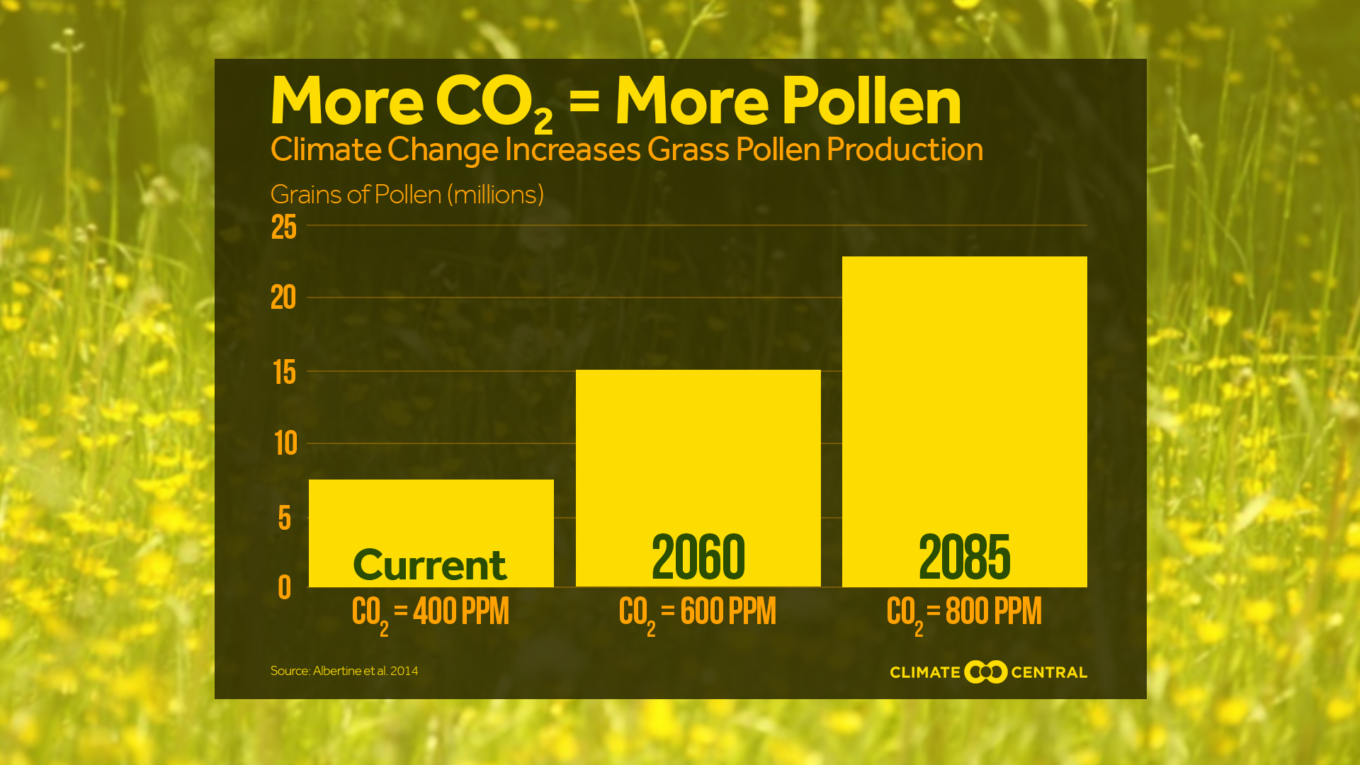 Climate Change Increases Grass Pollen Production Climate Central