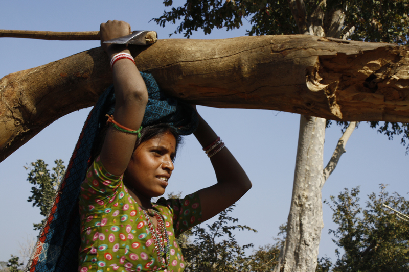 Study Downgrades Climate Impact of Wood Burning Climate Central