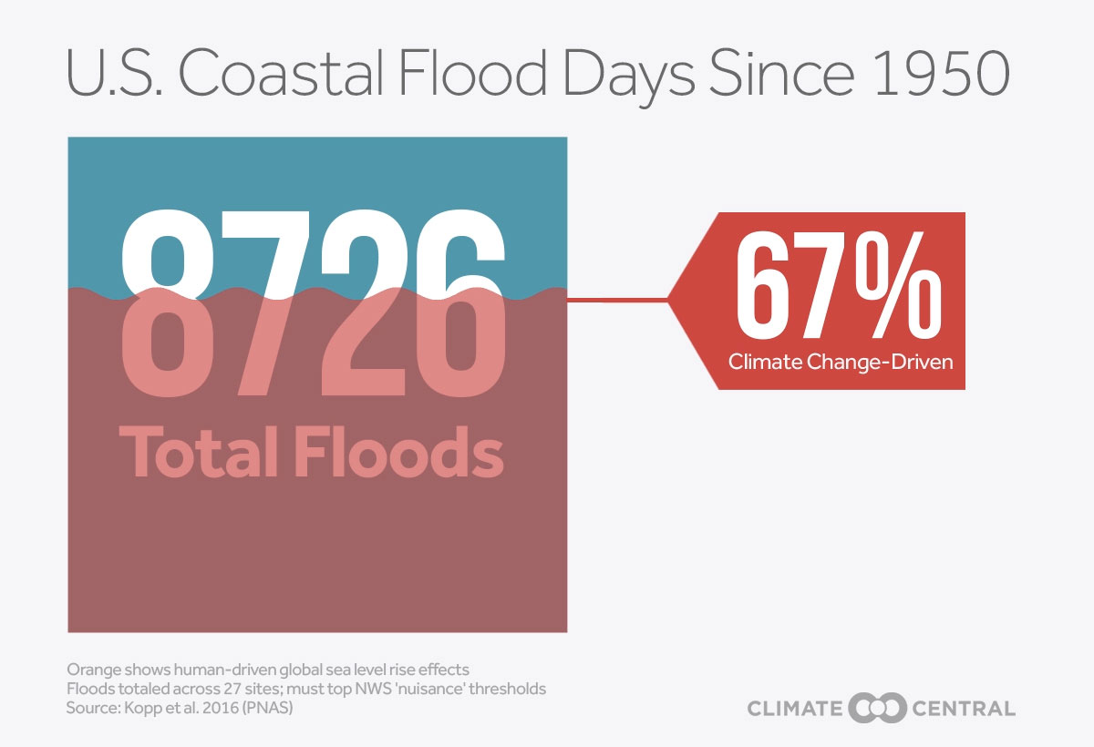 Human influence on floods research essays