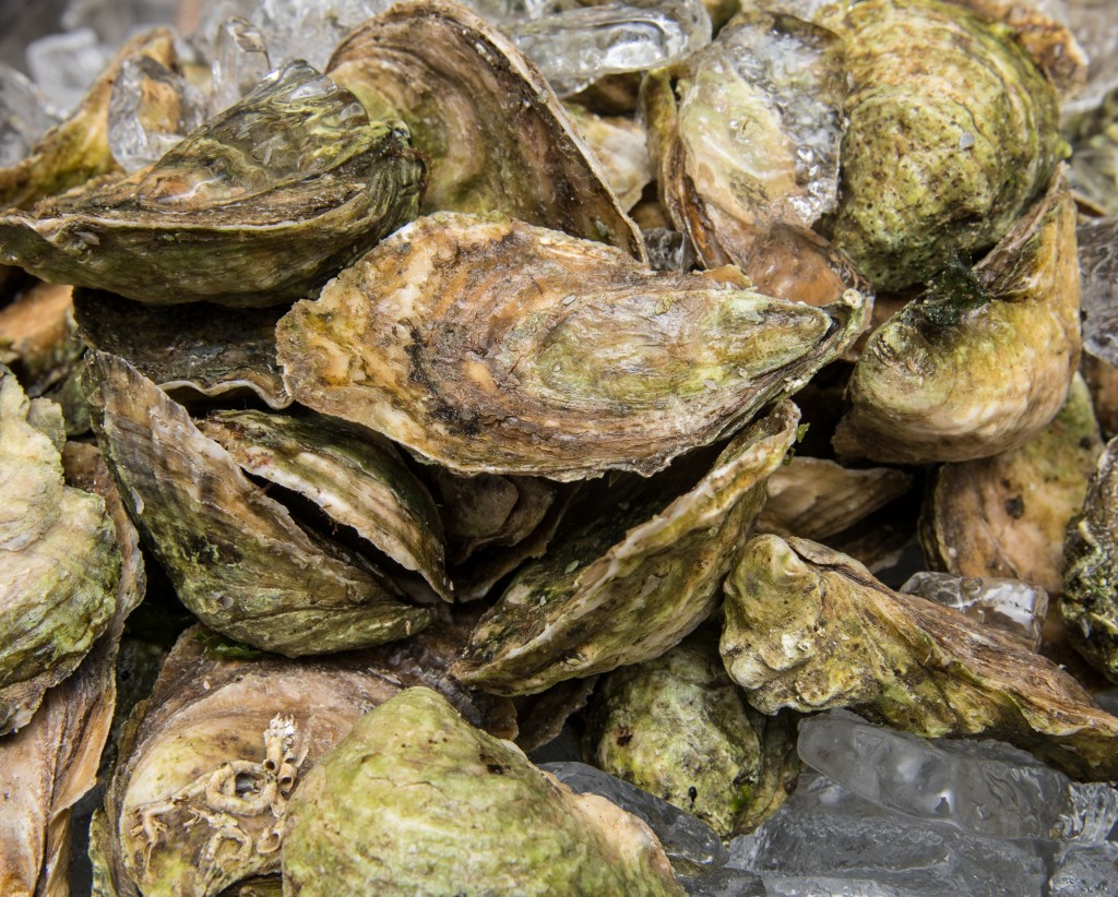 Here’s Where Ocean Acidification Will Hit the U.S. Hardest Climate