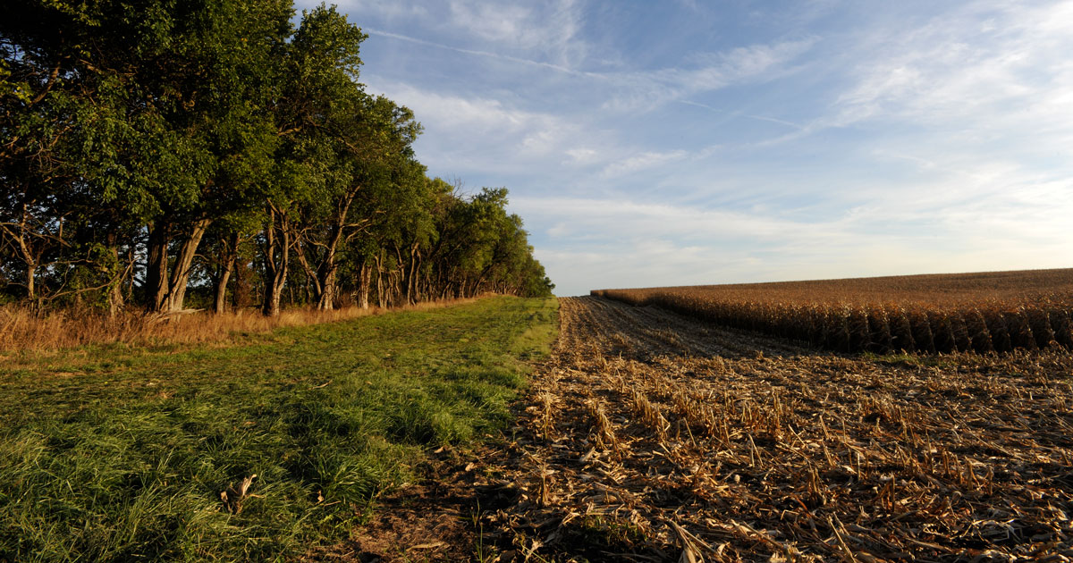 Missouri Farms Hold Big Potential as Carbon Storehouse Climate Central
