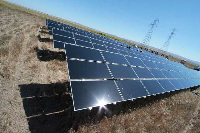 Can Birds Be Protected From Huge Solar Plants Climate Central