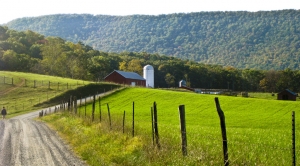Farmland Could Play Key Role in Tackling Climate Change