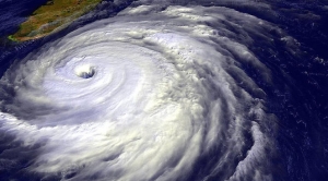 Hurricanes Boost Carbon Storage in Southeastern Forests