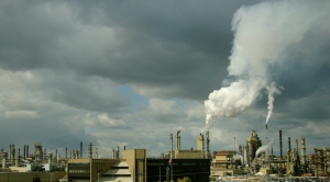 Focus on Carbon Removal a ‘High-Stakes Gamble’