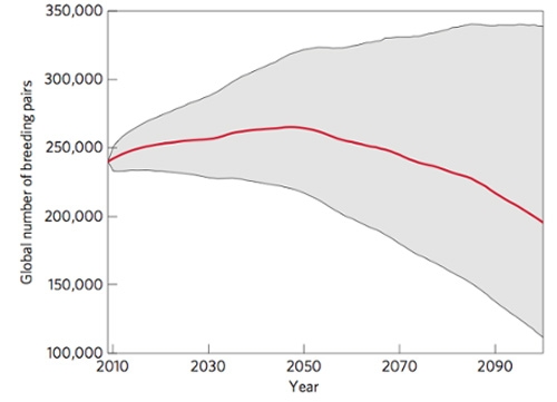 Warming Puts Emperor Penguins at Risk of Extinction | Climate Central