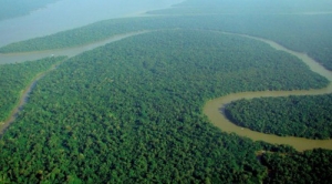 Tropical Forests Play Huge Role in Inhaling Emissions