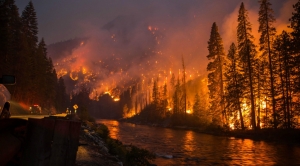 The 2015 Wildfire Season Set an Ominous Record
