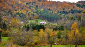Drought, Climate Impact Fall Foliage in Complex Ways