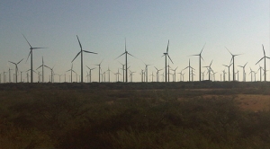 Green Bonds May Help Limit Effects of Climate Change