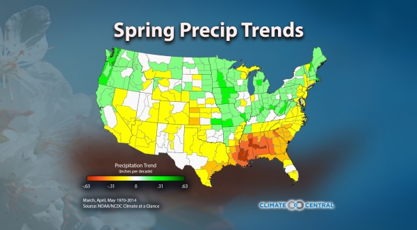 Spring Precipitation Trends