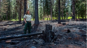 Breathing Fire: Fighting fire with fire: Should California burn its forests to protect against catastrophe?