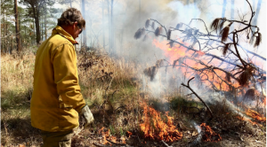 Breathing Fire: ‘If we don’t burn it, nature will’: Georgia blazes old fears, leads nation in prescribed fire