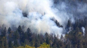 Breathing Fire: Change To Oregon Smoke Rules Seeing Early Results For Prescribed Burns