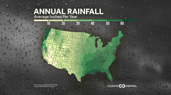 Trees and Annual Rainfall