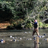 In Hot Water: Warming Waters are Stressing Fish and the Fishing Industry