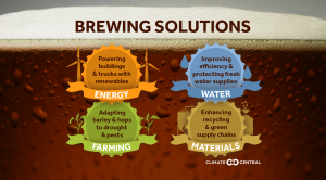 Sustainable Beer Infographic