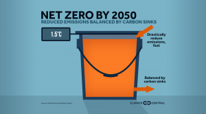 What is Net Zero?