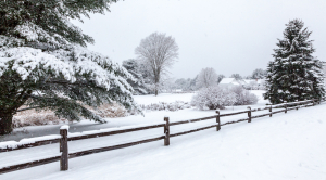 Report: The Case of the Shifting Snow