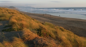 Congress Protects Coasts From Climate Change With Mud