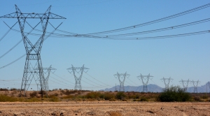 Conservatives Push Carbon Tax to Address Climate Crisis