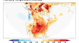 February’s Warmth, Brought to You by Climate Change
