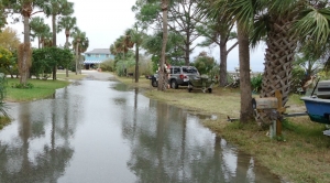 Fate of World’s Coastlines Rests on Melting Antarctic Ice
