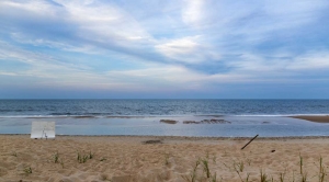 Atlantic Oil Surveys Could Kill Food Used By Fisheries