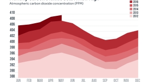 Carbon Dioxide Set an All-Time Monthly High