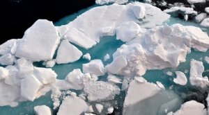 Arctic Heat Is Becoming More Common and Persistent