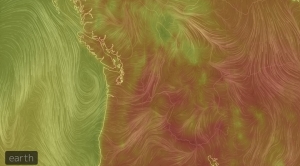Soaring Temps in Pacific Northwest Shattered Records