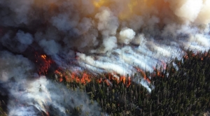 Large Wildfires Are Now More Common and Destructive