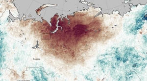 Sunburned in Siberia: Heat Wave Leads to Wildfires