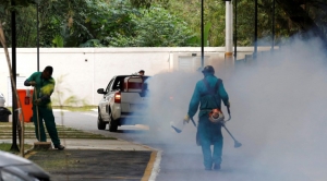 Scientists Tease Out Climate Change’s Role in Zika Spread