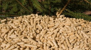 Massachusetts May Overlook Climate Impacts of Biofuels