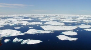 Here’s How Much Arctic Sea Ice Has Melted Since the ‘80s